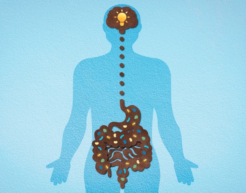 HMOs, microbiota e o eixo intestino-cérebro