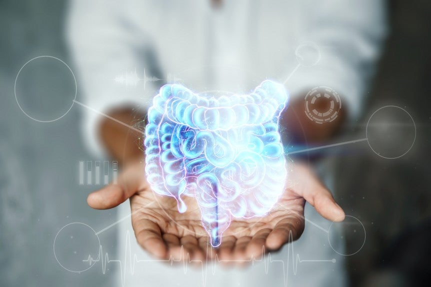 HMOs, microbiota e o eixo intestino-pulmão 